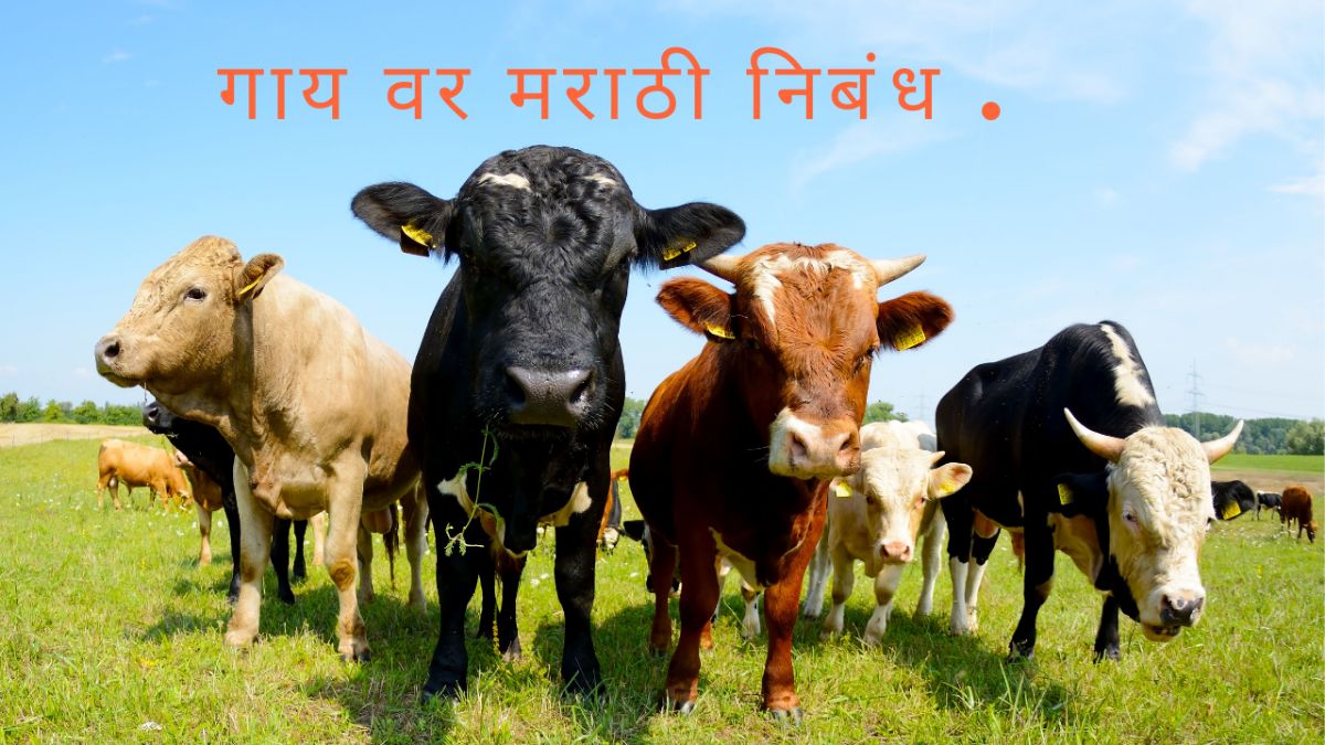 my favourite animal cow marathi essay